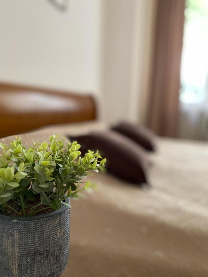 Family Apartment 리비프 외부 사진